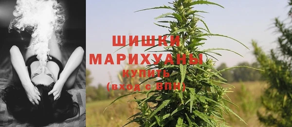 Альфа ПВП Бугульма