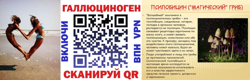 Псилоцибиновые грибы Psilocybine cubensis  Купить  Мамадыш 